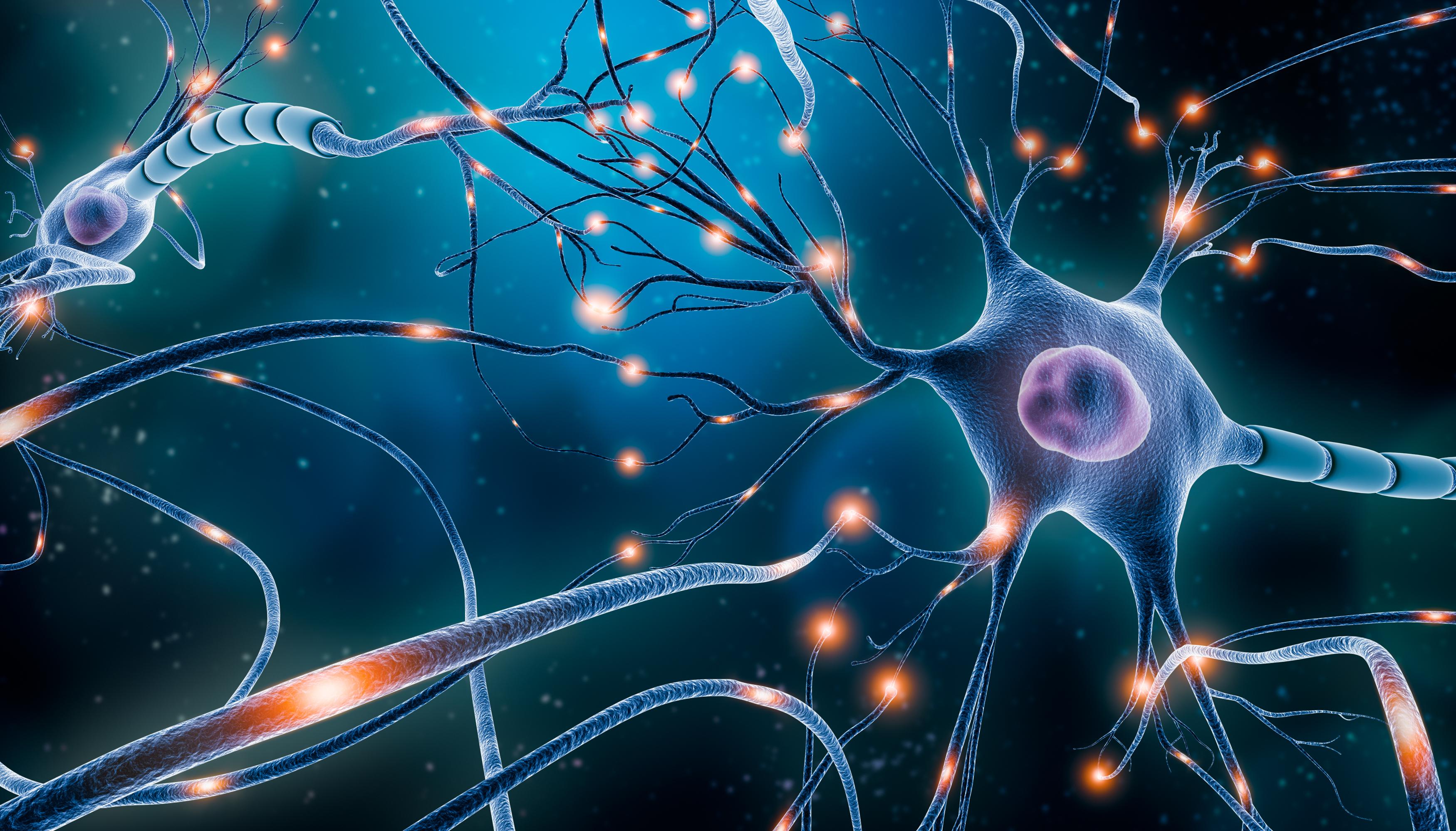Douleurs neuropathiques périphériques