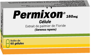 Photo de conditionnement <span class='vidalbox-gamme-product'>(PERMIXON 160 mg gél)</span>