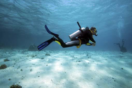 Plongée sous-marine