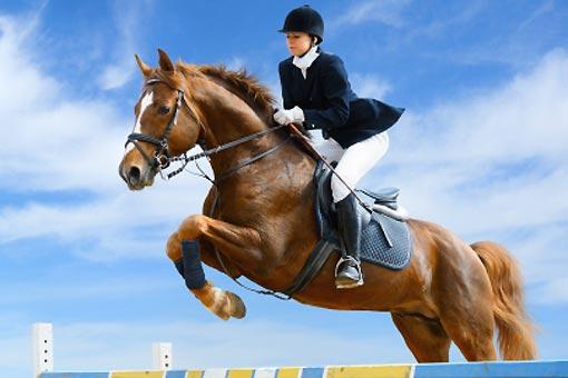 Equitation