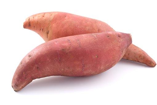 Yam (igname sauvage)