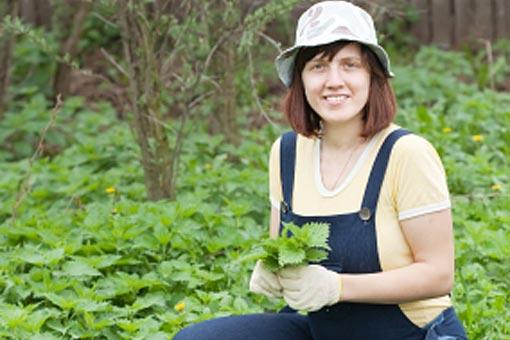 Peut-on cultiver et récolter ses propres plantes ?