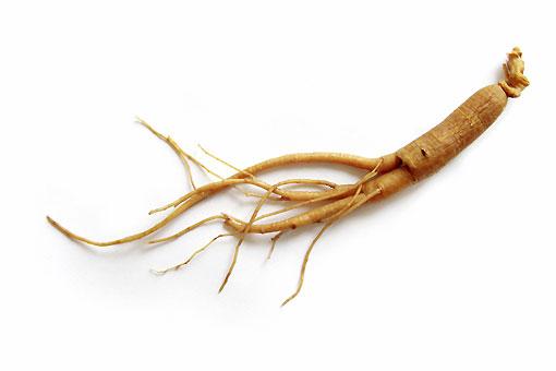 Ginseng