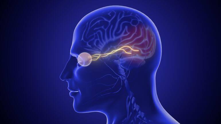Glaucome : traiter pour protéger le nerf optique en réduisant la pression intraoculaire.