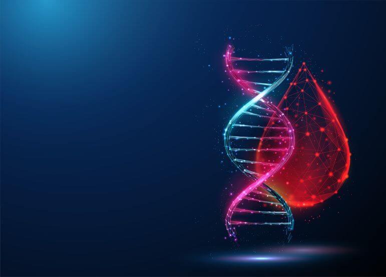 L'hémophilie A est due à des mutations du gène F8 (Xq28) codant pour le facteur VIII.