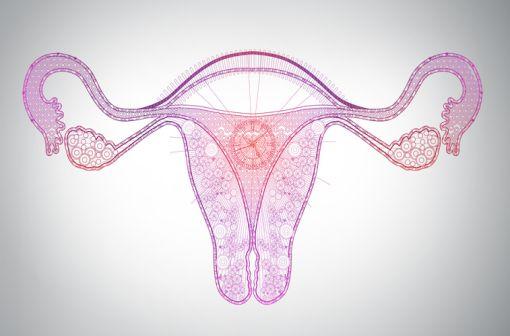 L’efficacité contraceptive des dispositifs intra-utérins au cuivre repose d’une part sur l’effet spermicide du cuivre et d’autre part sur l’effet contragestif du corps étranger qu’il constitue (illustration).