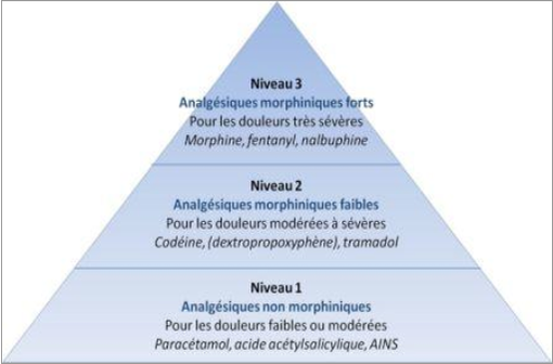 Classification des antalgiques par paliers selon l'Organisation mondiale de la santé (illustration).