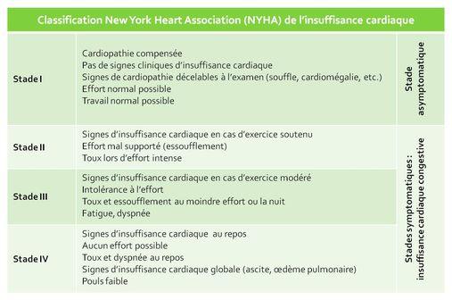 La classification de la NYHA permet d'apprécier la sévérité fonctionnelle de l'insuffisance cardiaque (illustration).