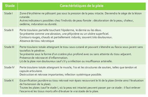 Classification des plaies selon leur stade.