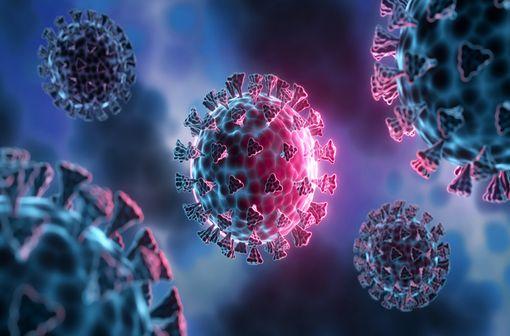 EVUSHELD associe deux anticorps monoclonaux, le tixagévimab et le cilgavimab, ciblant la protéine S présente à la surface du virus SARS-CoV-2 (illustration).