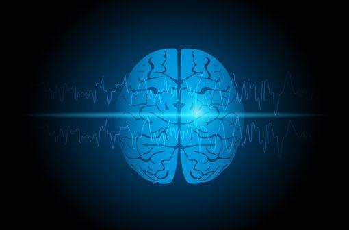 Une crise épileptique consiste en la présence transitoire de signes et/ou symptômes dus à une activité neuronale excessive ou synchrone anormale dans le cerveau (illustration).