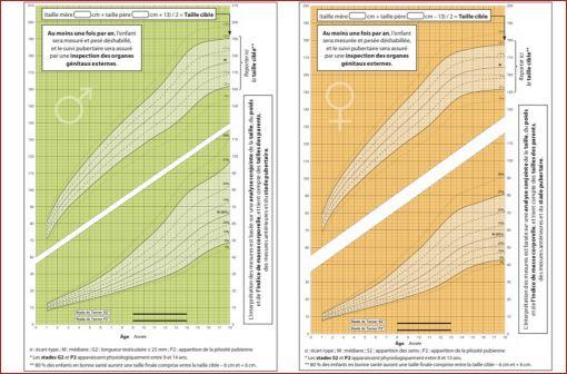 Courbes de croissance des filles (à droite) et des garçons (à gauche) de 1 à 18 ans en termes de poids en kg et de taille en cm (illustration).