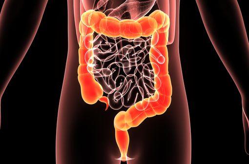 Ne pas interrompre les traitements immunomodulateurs à titre préventif (illustration).