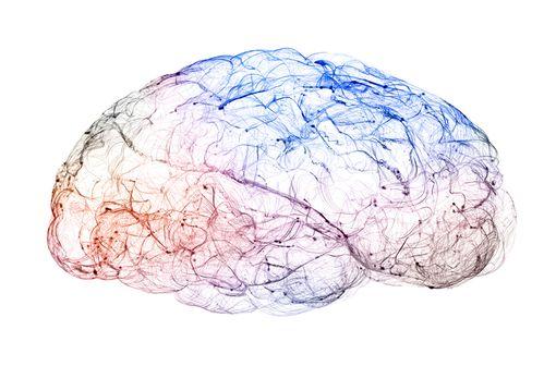 LYRICA et génériques sont indiqués dans la prise en charge des douleurs neuropathiques, de certaines formes d’épilepsie et du trouble anxieux généralisé (illustration).