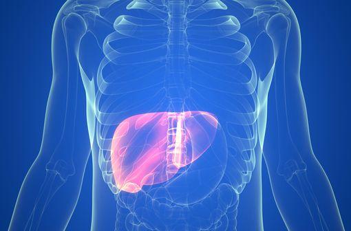 La sécurité et l'efficacité de l'acide obéticholique n’ont pas été démontrées en cas de cirrhose hépatique décompensée ou d'antécédents de décompensation hépatique (illustration).