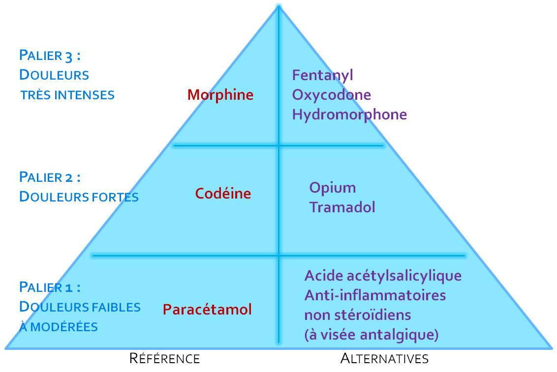 Classification des antalgiques par paliers selon l'Organisation mondiale de la santé (illustration).