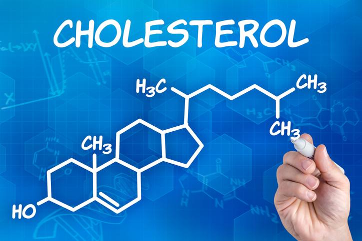 Sous le terme de cholestérol total, on inclut les taux de cholestérol HDL et LDL, ainsi qu’un cinquième du taux de triglycérides (illustration).