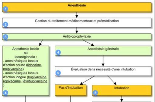 Aperçu de l'arbre décisionnel 