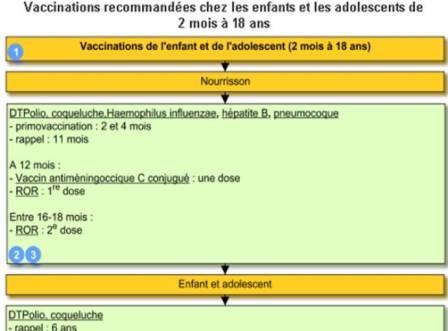 Extrait d'un arbre décisionnel de la Reco VIDAL Vaccinations.