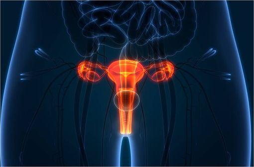 VABLYS 10 mg comprimé vaginal est indiqué dans le traitement local de la vaginose bactérienne (illustration).