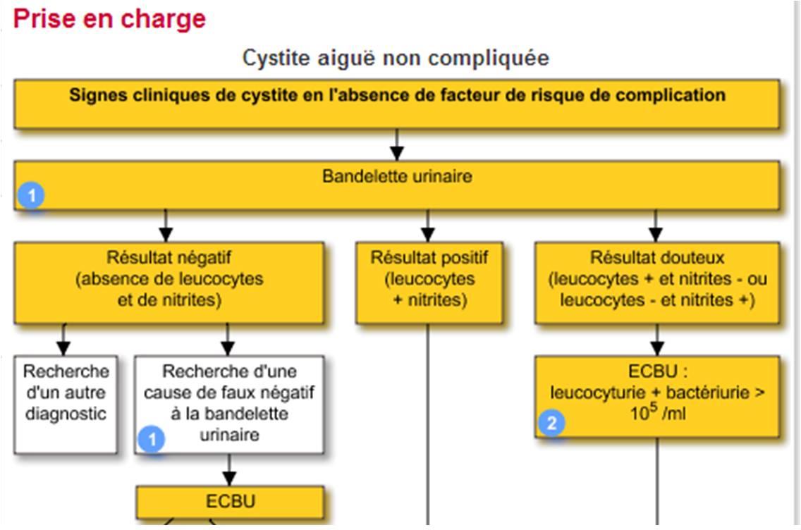 Arbre décisionnel de prise en charge de la cystite aiguë, extrait de VIDAL Recos (5e édition 2014)