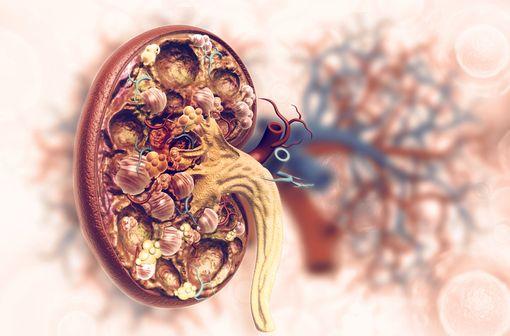 <p>Un inhibiteur de tyrosine kinase.</p>