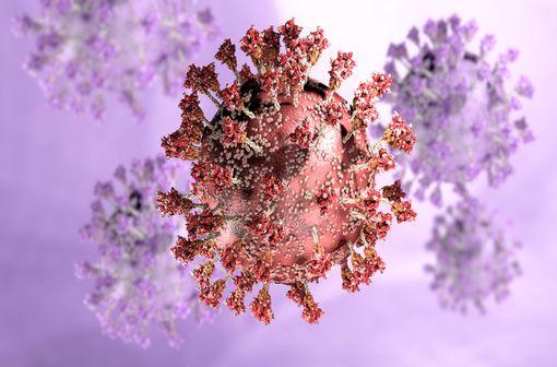 <p>Représentation en 3D de coronavirus.</p>