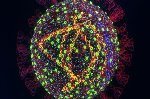 Virus muté SARS-CoV-2 Omicron.