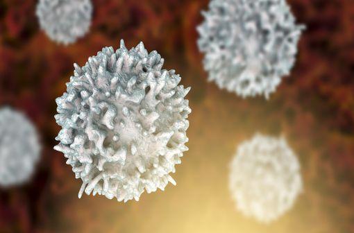 <p>Les cibles de l’ibrutinib sont les cancers concernant les lymphocytes B. </p>