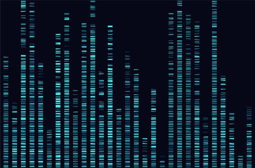 La mucoviscidose est liée à des mutations du gène CFTR sur le chromosome 7.