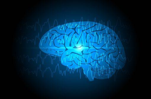 <p>Les crises épileptiques focales sont localisées dans une seule région du cerveau.</p>