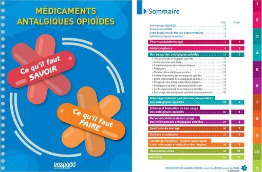 Le guide publié par le RESPADD propose aux professionnels les informations nécessaires pour un bon usage des médicaments antalgiques opioïdes.