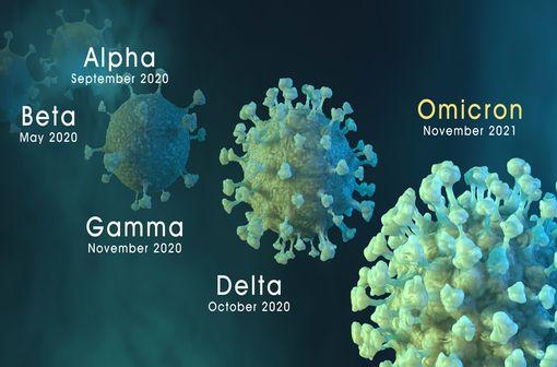 Les données sur l'activité antivirale in vitro du PF-07321332 contre le variant Omicron suggèrent en l'état une activité conservée vis-à-vis du variant Omicron (illustration). 