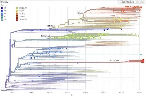 Omicron, un nouveau variant de SARS-CoV-2 aux nombreuses mutations (illustration : NextStrain)